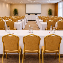 Stoličky so starozlatým rámom a poťahom v karamelovej farbe, HALLSEAT MX STRONG OGD/BN, ilustračná foto