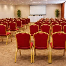 Stolička so zlatým rámom a červeným poťahom, HALLSEAT MX STRONG GD/RD, ilustračná foto