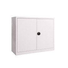 DOCUCAB H 1000/1200/420 GY | Büroschrank mit 2 Fachböden