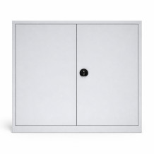 DOCUCAB H 1000/1200/420 GY | Büroschrank mit 2 Fachböden