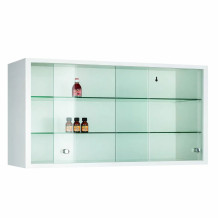 WALLCAB M 500/1000/250 9003 | Hängeschrank mit Glastüren