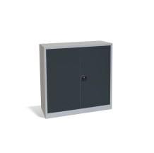 Büroschrank mit 2 Fachböden, DOCUCAB H 1000/1000/420 GY