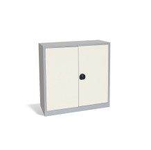 Büroschrank mit 2 Fachböden, DOCUCAB H 1000/1000/420 GY