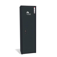 GUNCAB PT 1312/420/260 K 7016 | Kabinett für 4 Pistolen mit Schlüsselschloss