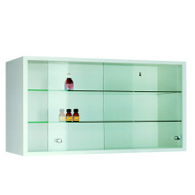 WALLCAB M 500/1000/250 9003 | Hängeschrank mit Glastüren