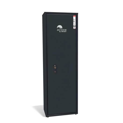 GUNCAB PT 1312/420/260 K 7016 | Kabinett für 4 Pistolen mit Schlüsselschloss